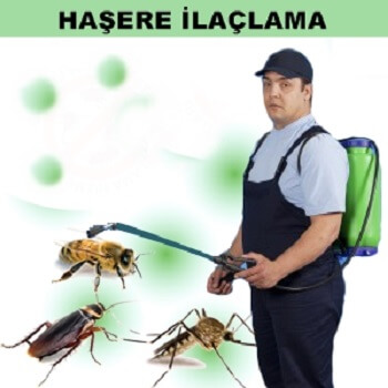 Ferizli Böcek İlaçlama
